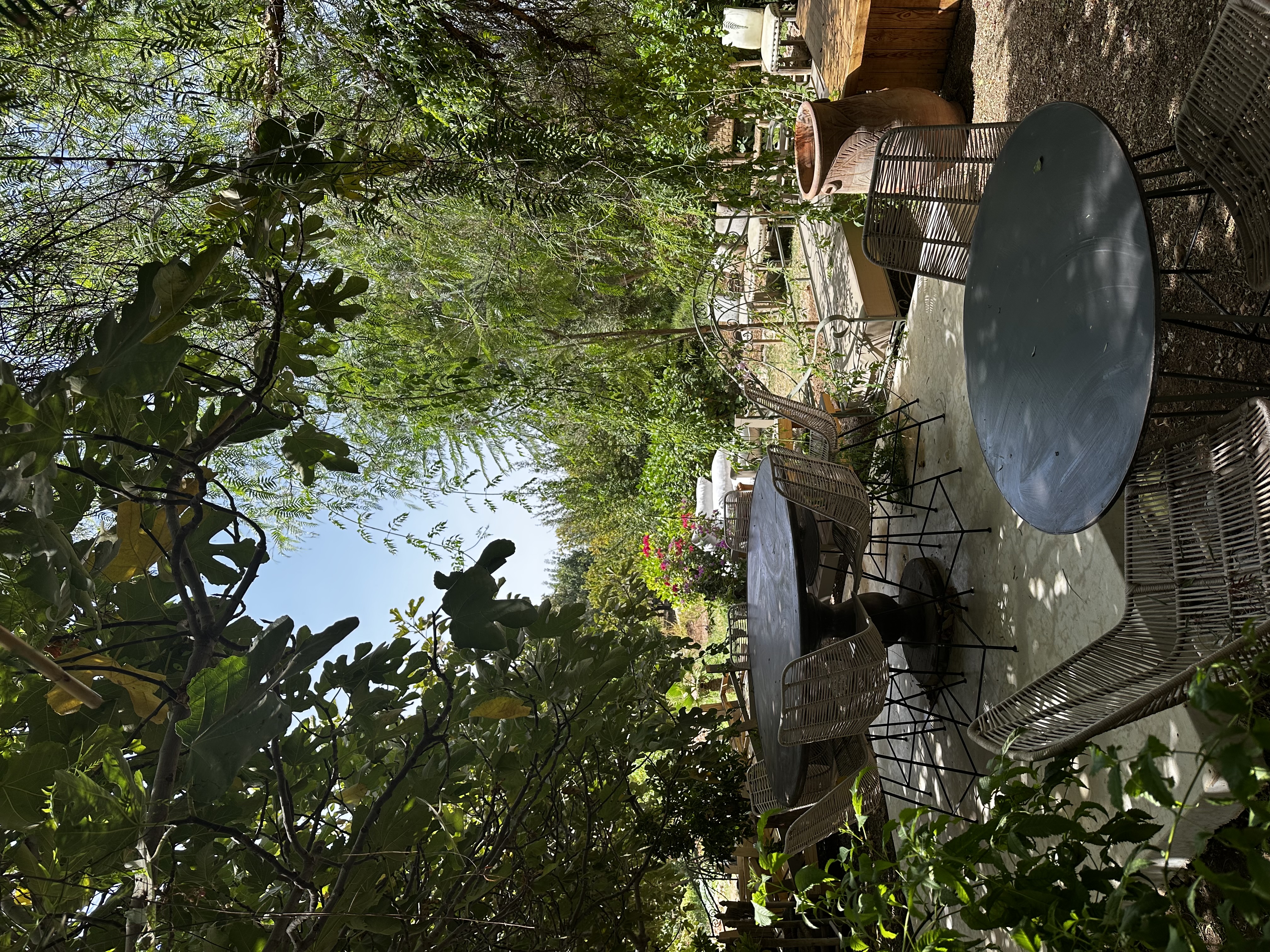 Leafy courtyard tables surrounded by the farm garden at Akal